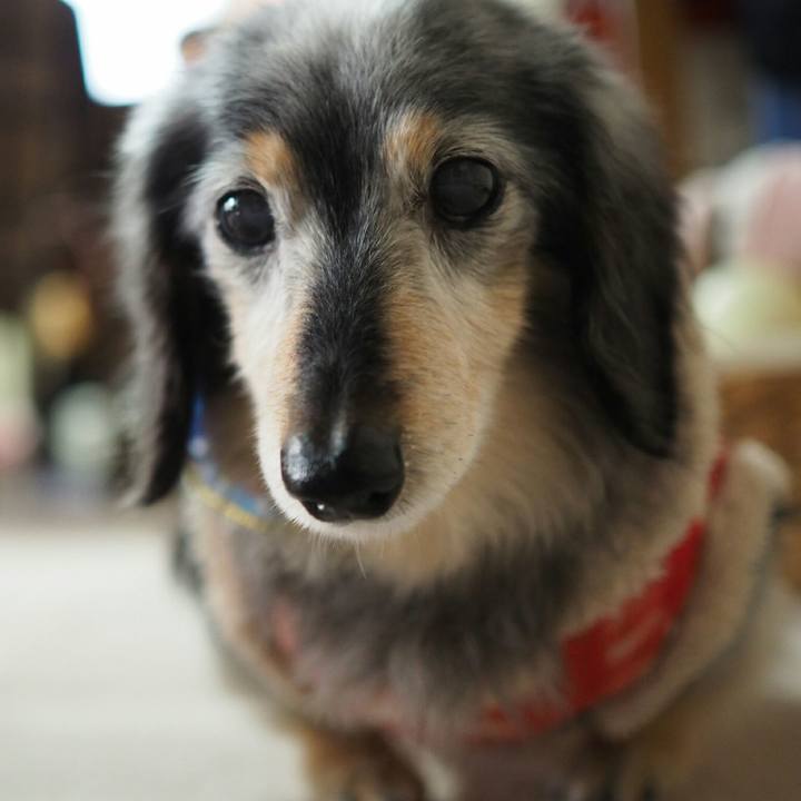 295f9242 56fe 45c0 8037 7e846e761470