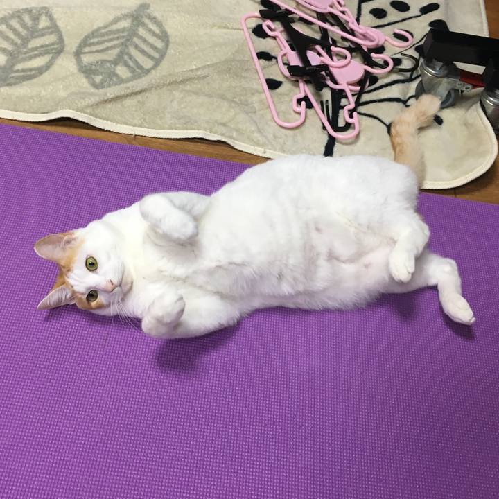 295fb60d 8c08 4b4a 941f 28299011383a