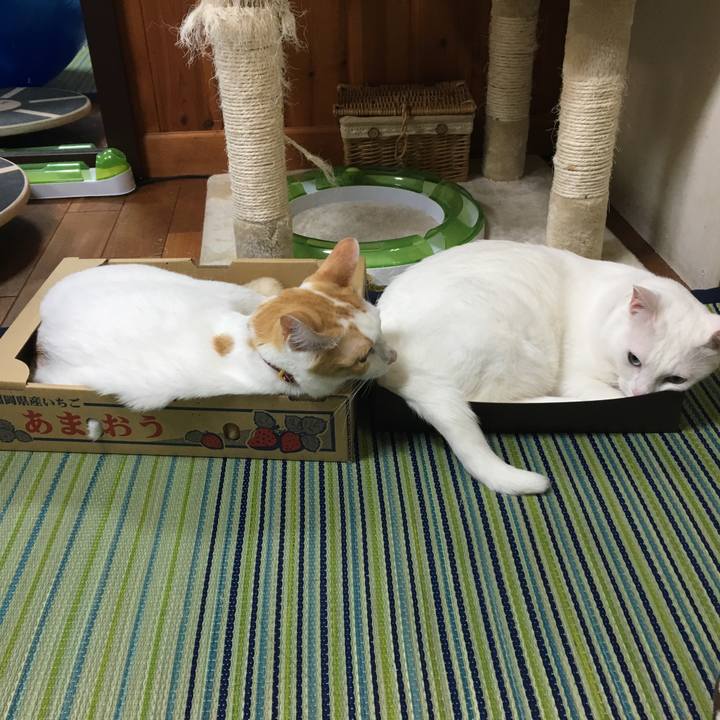 296044db 3071 4f7d 98aa 8bf9a1b06ba4