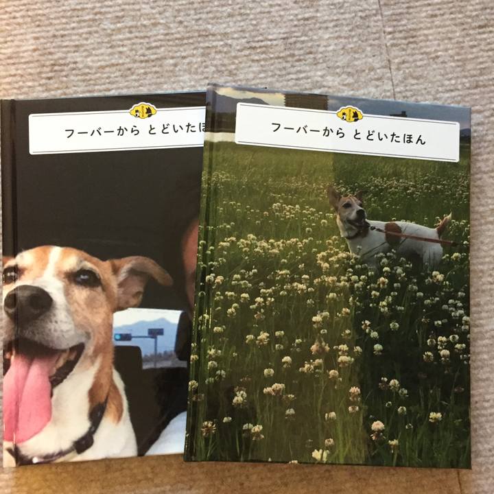 296066e0 23b3 4f3b b346 93772f05fe4e