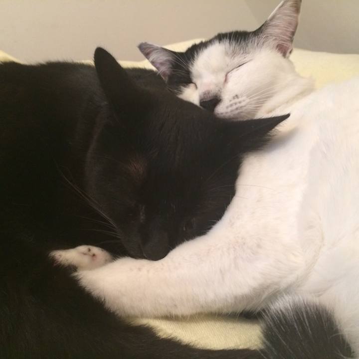 29606e59 58bb 42fd aec9 6562e4a3fc2c