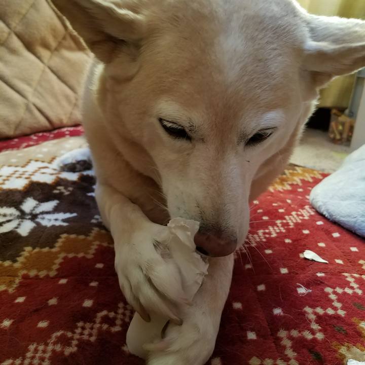 2960c147 9ef6 40b8 a6bb c008abb71f48