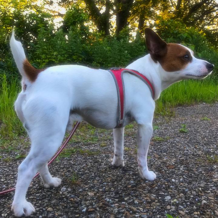 2960fbb3 46ba 4a73 9032 55ade4f89157