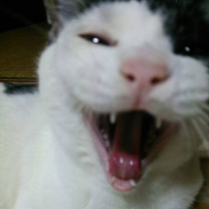 296267ce bfdd 41f7 8f48 d940ecaf1aee