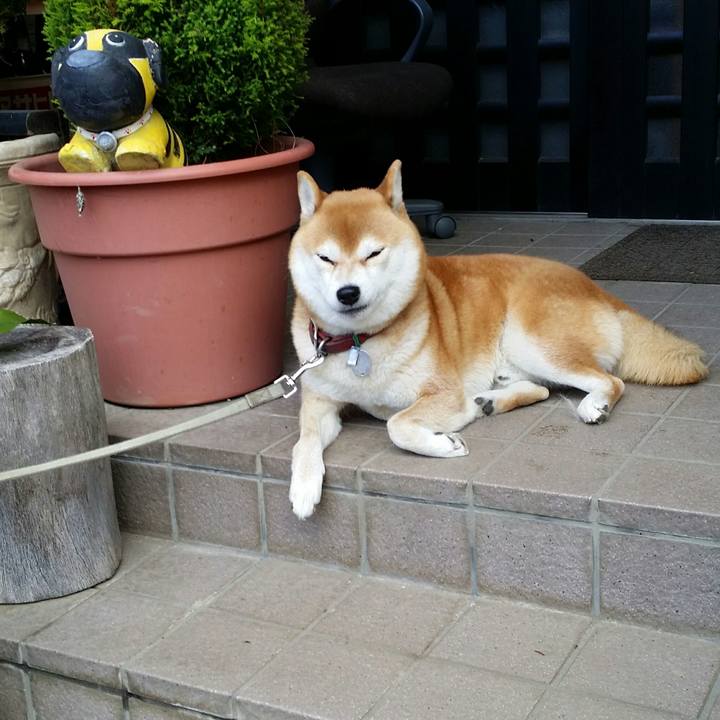 2962bb08 ffc6 4ae7 a257 cf880c9d117c