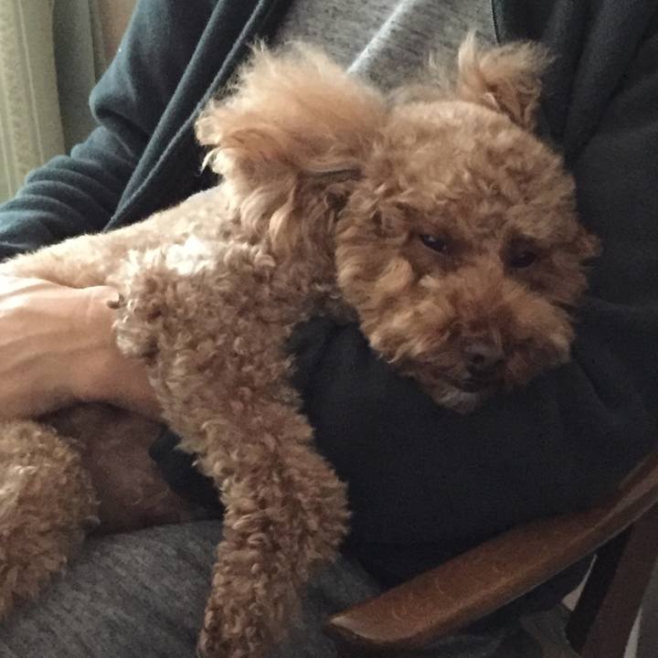 2962dc11 6a49 4719 b63c d245a8681461