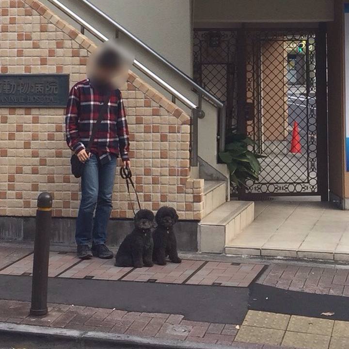 2962fc2f 4893 47e1 ae8a 620ff33dce79