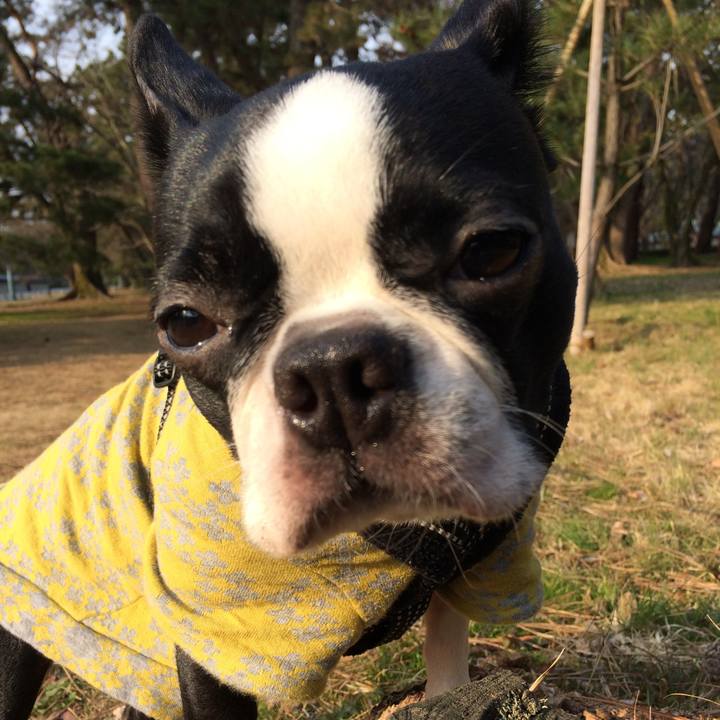 296337a9 664e 455c 95eb 8a4294bec134