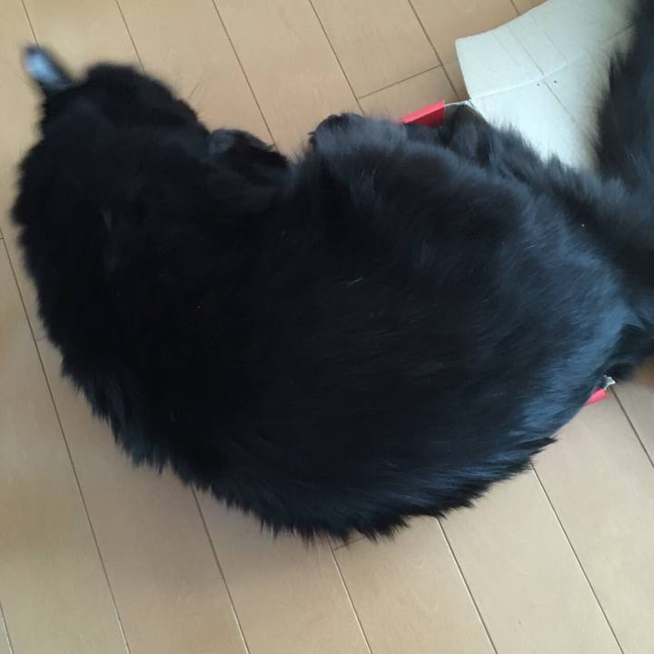 296344a0 f923 4e7c b3b4 ab32a64f8059