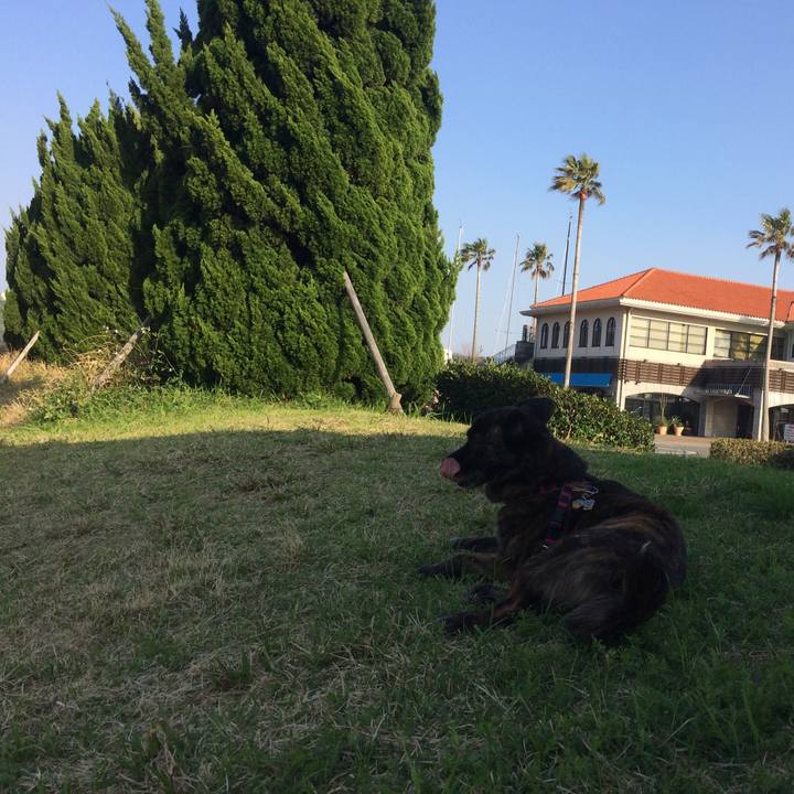 296467b6 0f66 4cb9 8170 d912c5d8556d