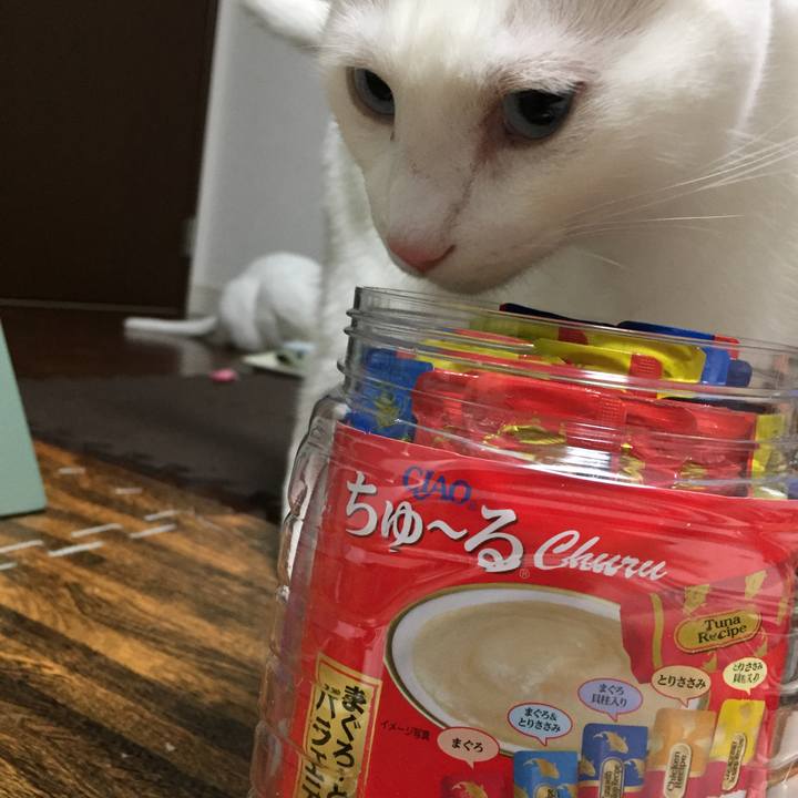 2964a040 2d3a 405b 8836 fd0ca1259eeb