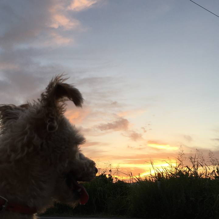 2964edf4 3a0a 41fa 8706 827c93efcb0a