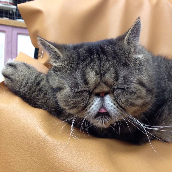 29655b41 c117 439b 821d bd85207df70b