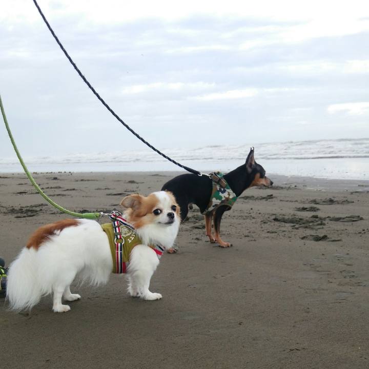 29657a3a 608c 455e 8671 da6cea7d38aa