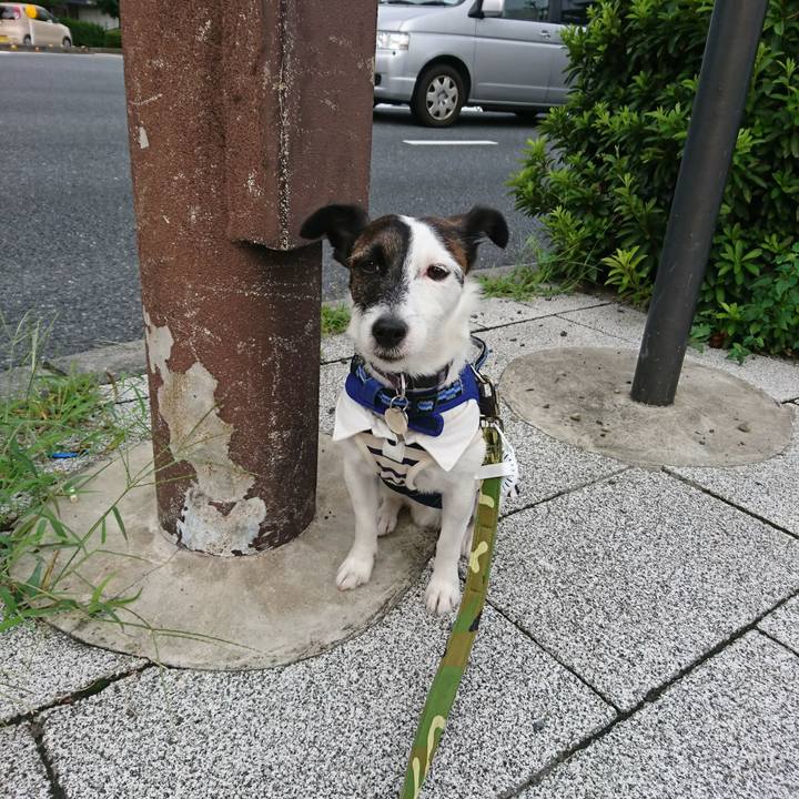 296659d0 47bb 4ba6 a423 149d806995d1