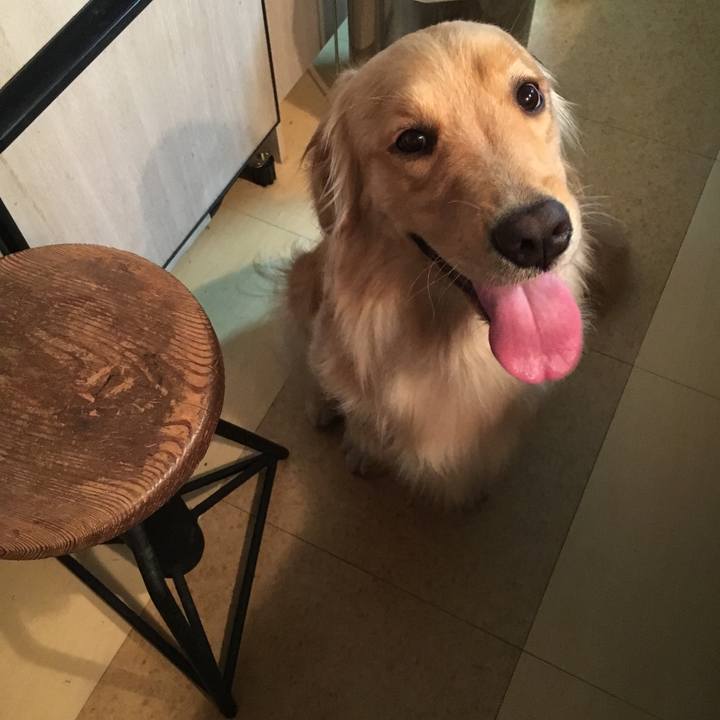 29673322 235e 4e11 8c4a 33800b903769