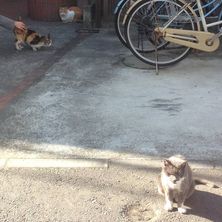 296878af c07d 4ee1 ab9a 35a9cf0ca29e