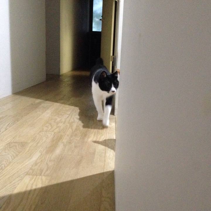 2968a8ca 9f62 4941 a740 abe79ba64dda