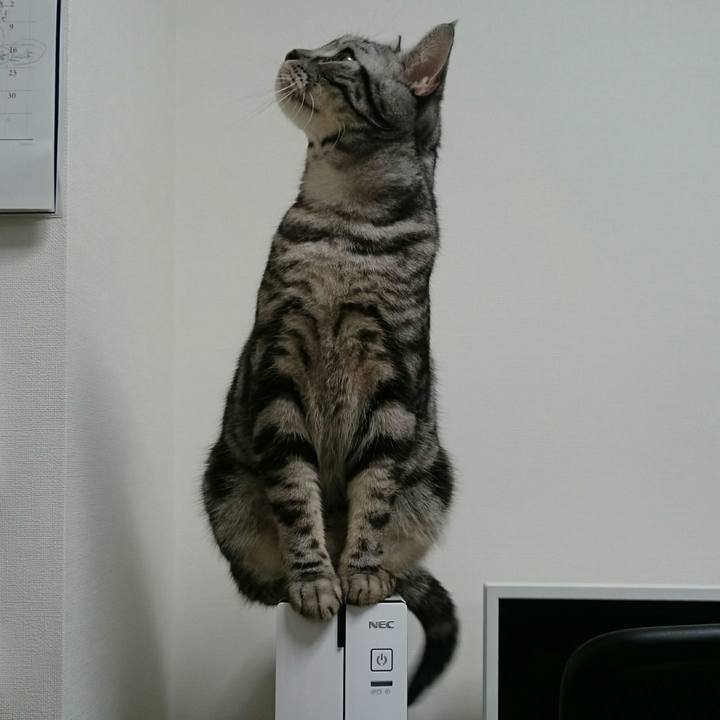 2968c326 e225 485d 820d aea565b28876