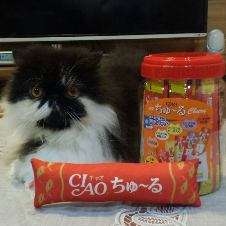 29692f66 3043 4e54 a7c5 9740864e72bb