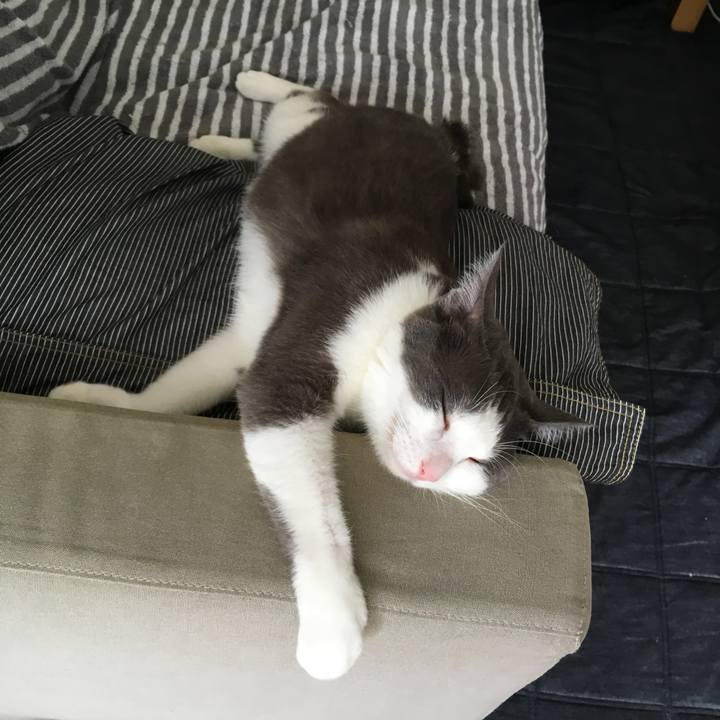 2969341a 4efa 46bb 9121 d1257b5bb65e