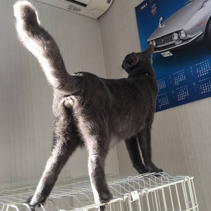 296966a1 9afe 417b a96f 3bb647deeb5b