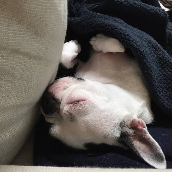 2969b066 14b3 4089 b984 78ee6e1db631