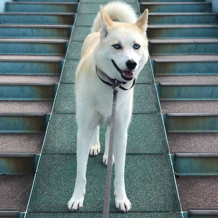 2969b65c eefb 4f50 aed2 762b3b47384c