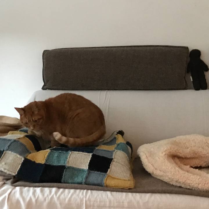 2969b989 e0b2 486f a032 be90a912a2a9