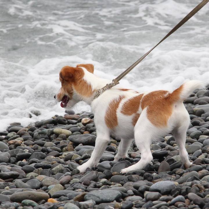 2969f36b 0160 4734 91b4 d72b4698e830