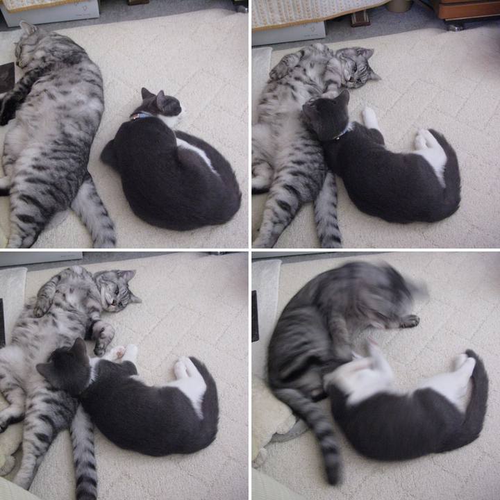 296a4d31 3ad9 45b9 a78b 7a51f1c4cafa