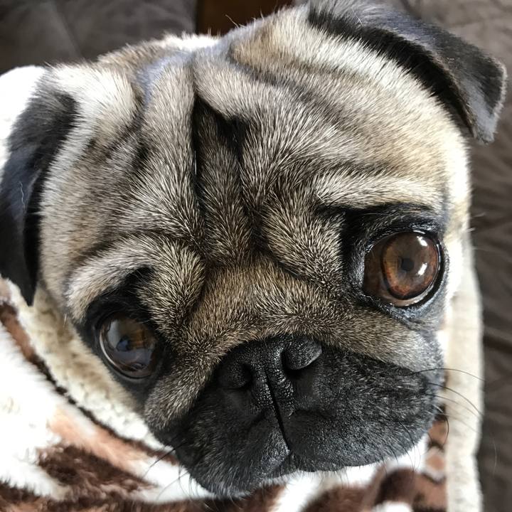 296bc58b 0edb 4cd1 a4ac 40bc31670ff4