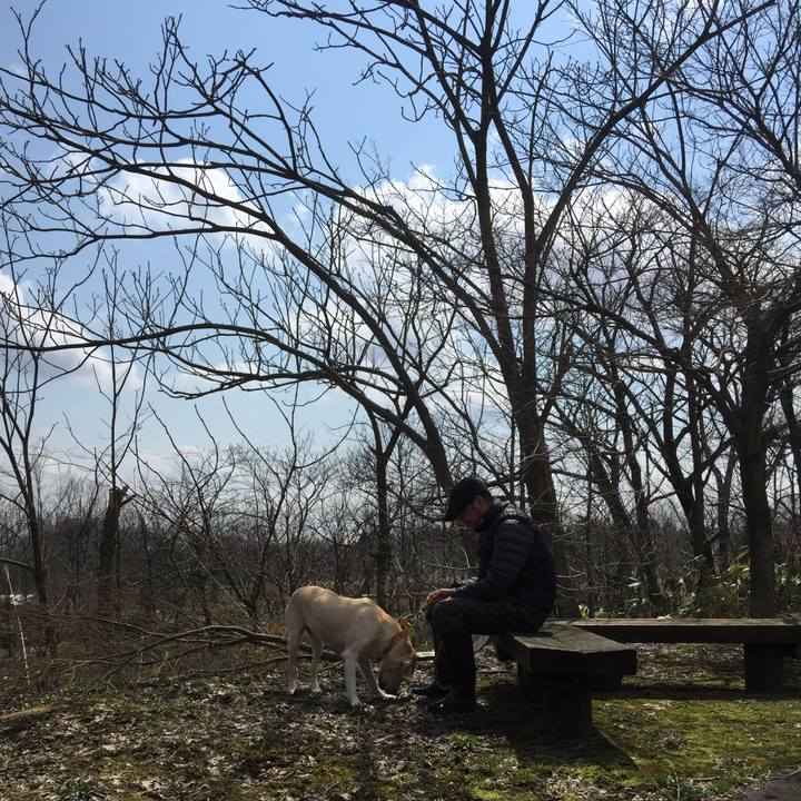 296cd9bb 22c5 4583 8d49 caa0218e943b