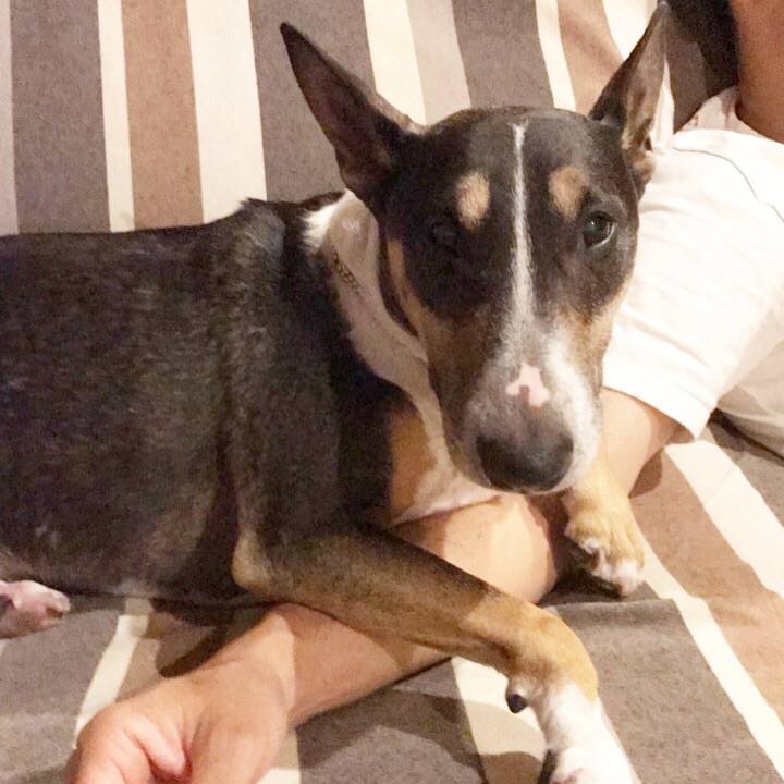 296cea99 fd7d 4b0b 9b69 7cf2631ac78f