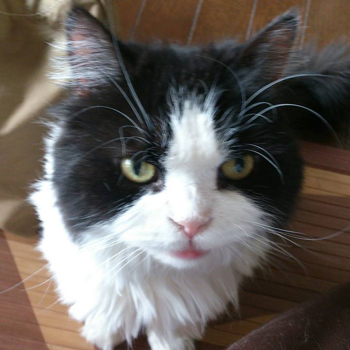 296cfdea 2ad0 4ad9 879c 74077bcc0214