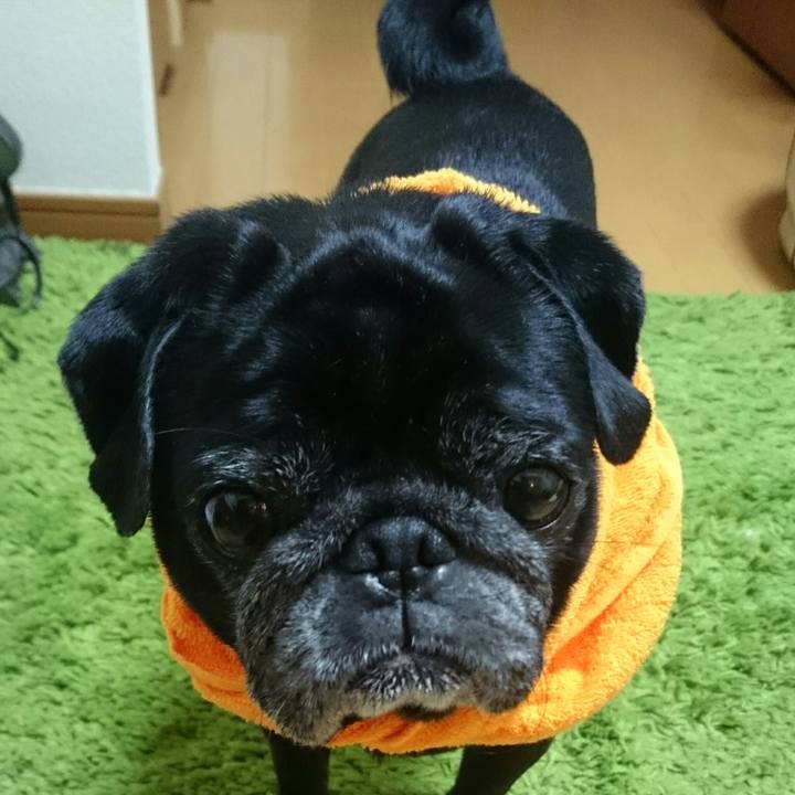 296ded58 9bd6 499b bce1 348bcca083da