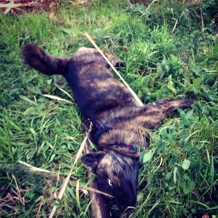 296e4293 f30c 4a31 893c 1a5830751f11