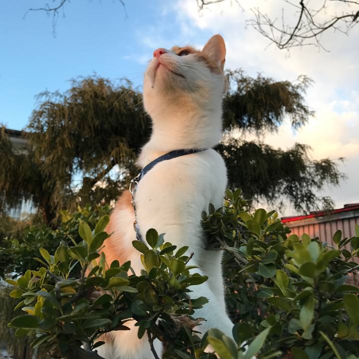 296e8fc8 7de4 4586 8593 8b1cbecbee74