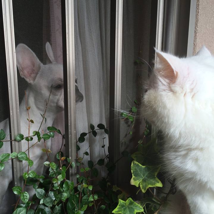 296ec190 5503 4048 9e34 190b32038fe8