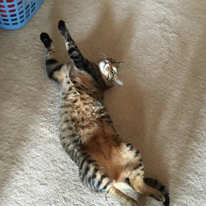 296f8b80 0142 4155 9053 9867d20d4a7f