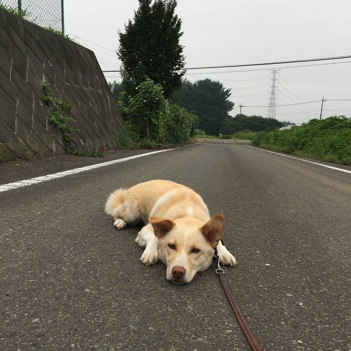 29706d93 8995 4773 b02f cc8d10338ae2