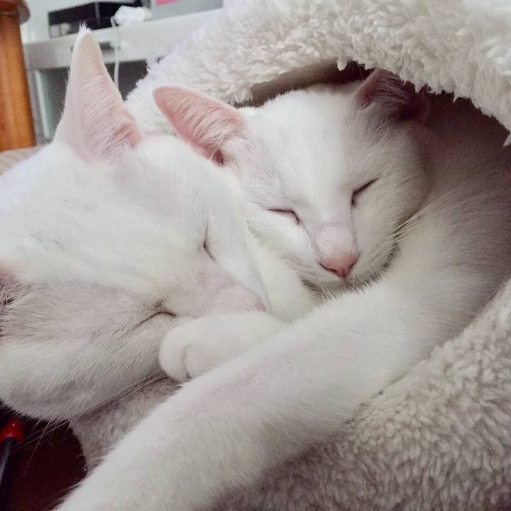 2970755f 8e23 401d a1ad 9d6f70fa575c