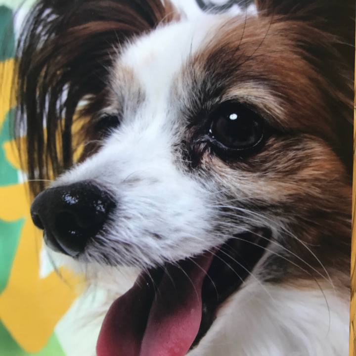 2971b4aa 66fd 4fdc b7d8 f1cdcbb8f7f6