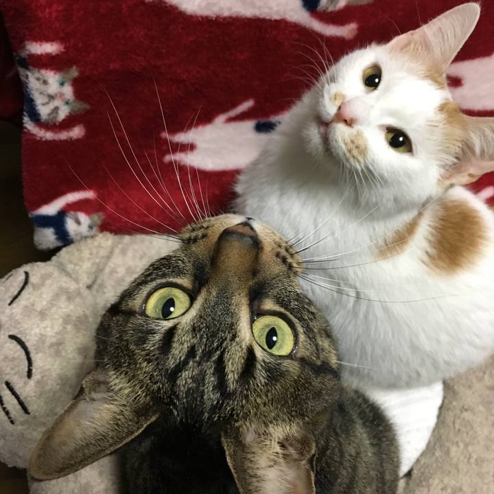 2971ee9c 8c06 4a33 b85b 0ef9cb08acaf