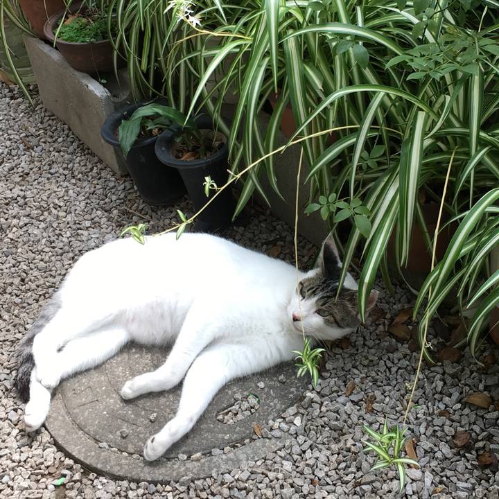 29731f94 6838 4241 91a3 50b2095da0b0