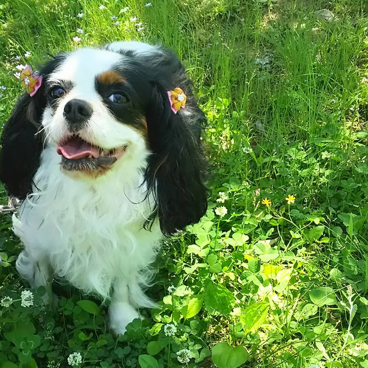 297362bd f8bb 4006 bc11 55e614ed8e12