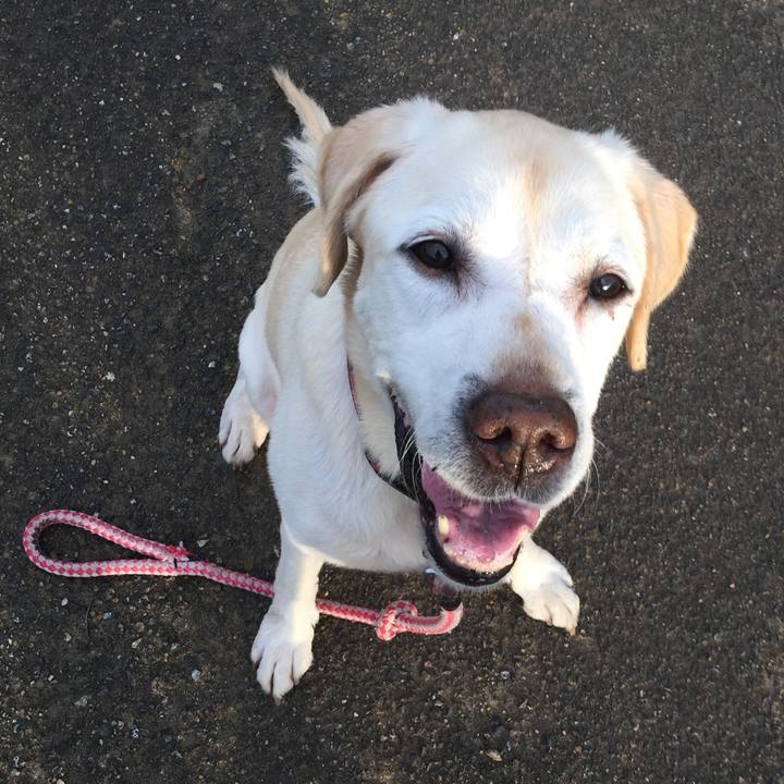 29739227 971e 4181 8a9c 8eb9b04183a0