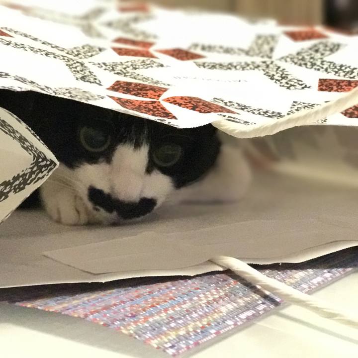 29739ab7 afe3 4713 b9f9 b940d6c6728c