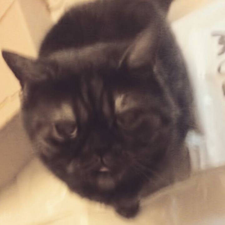 29744076 a710 419f b693 899e762b004c