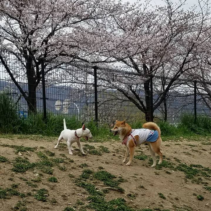 29747032 7663 4040 ab79 4451de5aa369